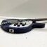 Rickenbacker 330/6 , Blueburst: Close up - Free