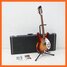 Rickenbacker 330/12 Mod, Fireglo: Full Instrument - Front