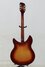 Rickenbacker 330/12 Mod, Fireglo: Full Instrument - Rear