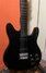 Rickenbacker 230/6 , Black: Body - Front