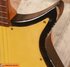 Rickenbacker 1000/6 , Black: Close up - Free