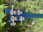 Rickenbacker 4001/4 , Azureglo: Headstock - Rear