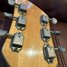 Rickenbacker 325/6 V59, Mapleglo: Headstock - Rear