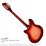 Rickenbacker 370/12 RM, Fireglo: Full Instrument - Rear