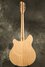 Rickenbacker 370/12 RM, Mapleglo: Full Instrument - Rear
