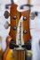 Jun 1981 Rickenbacker 4005/4 Mod, Autumnglo: Headstock