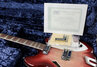 Rickenbacker 360/12 CW, Fireglo: Free image2