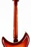 Rickenbacker 381/6 , Fireglo: Neck - Rear