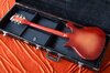 Rickenbacker 450/12 , Fireglo: Full Instrument - Rear