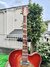 Rickenbacker 360/6 F, Fireglo: Neck - Front