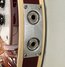 Rickenbacker 360/12 V64, Fireglo: Close up - Free