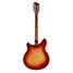 Rickenbacker 360/12 , Fireglo: Full Instrument - Rear