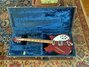 Rickenbacker 360/12 , Ruby: Full Instrument - Front