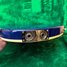Rickenbacker 4001/4 , Azureglo: Close up - Free
