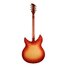 Rickenbacker 335/6 Mod, Fireglo: Full Instrument - Rear