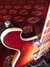 Rickenbacker 660/12 , MonteBrown: Close up - Free2