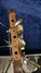Rickenbacker 330/12 Mod, Natural Maple: Free image2