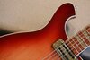 Rickenbacker 660/12 TP, Fireglo: Free image