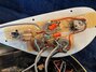 Rickenbacker 4001/4 , Jetglo: Close up - Free2