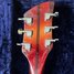 Rickenbacker 330/6 , Fireglo: Headstock - Rear