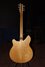 Rickenbacker 360/6 Mod, Mapleglo: Full Instrument - Rear