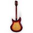 Rickenbacker 381/12 V69, Fireglo: Full Instrument - Rear