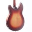 Rickenbacker 330/6 , Fireglo: Body - Rear