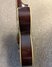 Rickenbacker SP/6 Wood body, Two tone brown: Close up - Free