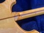Rickenbacker 4001/4 , Mapleglo: Neck - Rear