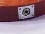 Rickenbacker 335/6 , Fireglo: Close up - Free