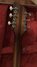 Rickenbacker 330/6 Capri, Two tone brown: Headstock - Rear