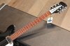 Rickenbacker 610/12 , Jetglo: Neck - Front