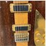 Rickenbacker 650/6 Excalibur, Vermillion: Close up - Free2