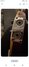 Rickenbacker 4003/4 , Fireglo: Close up - Free