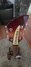 Aug 1994 Rickenbacker 610/6 , Fireglo: Headstock
