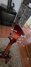 Rickenbacker 610/6 , Fireglo: Headstock - Rear