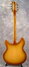 Rickenbacker 330/6 S, Honey Burst Satin: Full Instrument - Rear