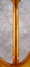 Rickenbacker 330/6 S, Honey Burst Satin: Neck - Rear