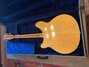 Rickenbacker 360/12 , Mapleglo: Full Instrument - Rear