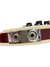 Rickenbacker 360/6 V64, Fireglo: Close up - Free