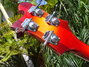 Rickenbacker 4003/4 , Fireglo: Headstock - Rear