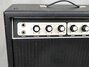 Rickenbacker TR7/amp , Black crinkle: Free image