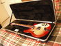 Rickenbacker 360/12 , Fireglo: Free image