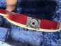 Rickenbacker 660/6 , Fireglo: Close up - Free