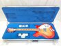 Rickenbacker 360/6 , Fireglo: Free image2