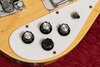 Rickenbacker 4001/4 Mod, Mapleglo: Close up - Free2