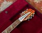 Rickenbacker 360/12 B Series, Fireglo: Close up - Free2