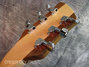 Rickenbacker 650/6 Dakota, Natural Walnut: Headstock - Rear