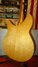 Rickenbacker 335/6 , Mapleglo: Body - Rear