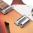 Rickenbacker 360/12 V64, Fireglo: Close up - Free2